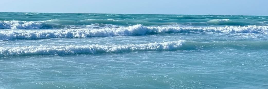 𝑡𝑜𝑡𝑒🦋 banner