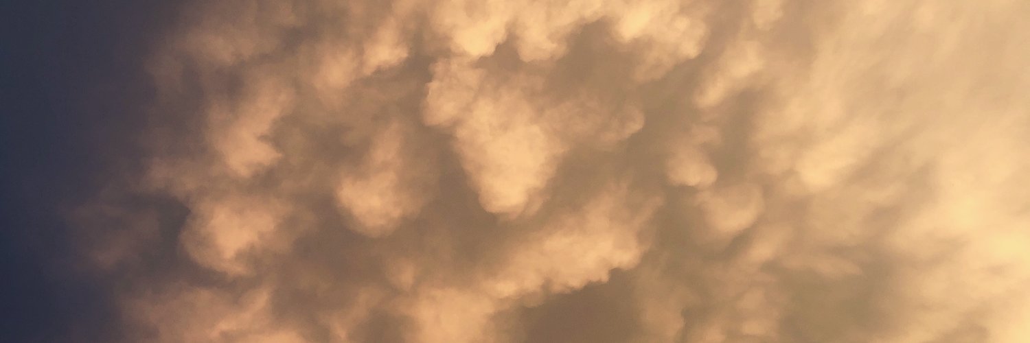 CampusTrainer's profile banner image