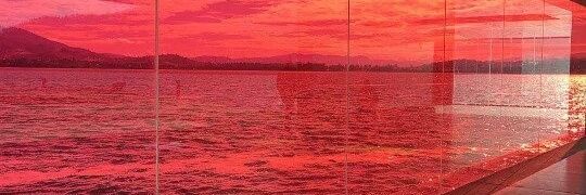 ntecurto's profile banner image
