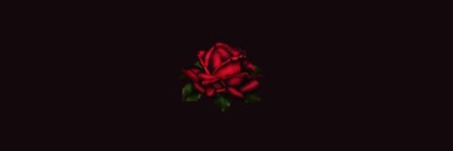 thirliesjade's profile banner image