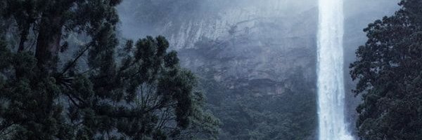 GagamaruWild's profile banner image