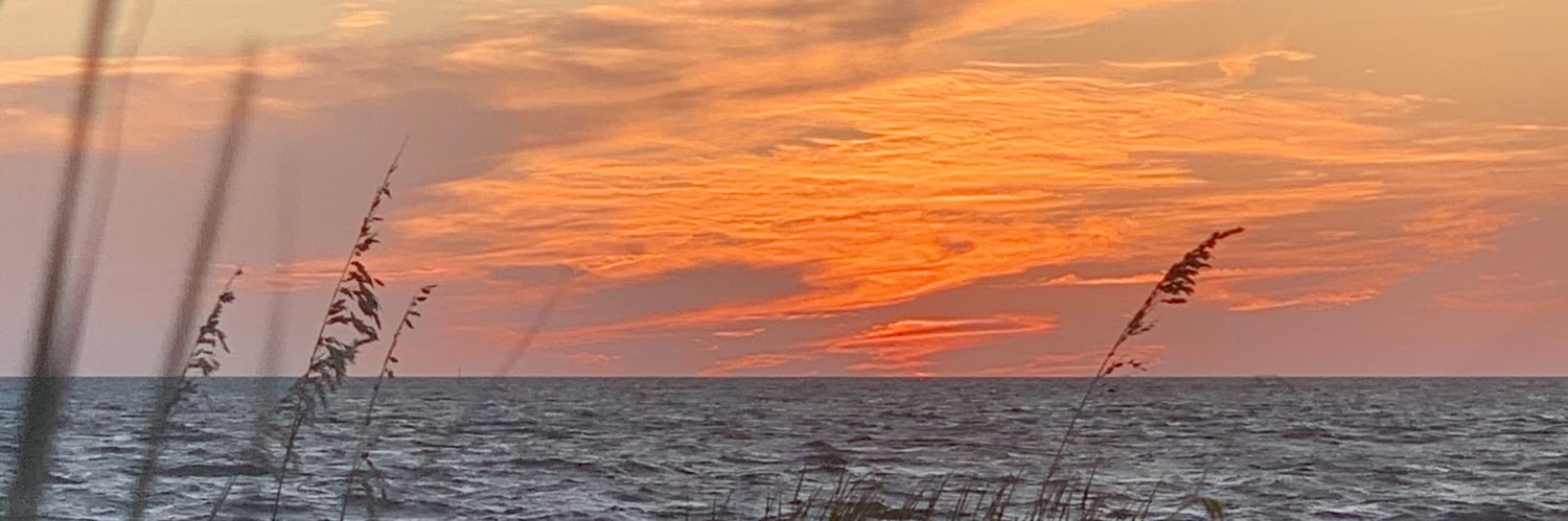 LLouiseReid's profile banner image