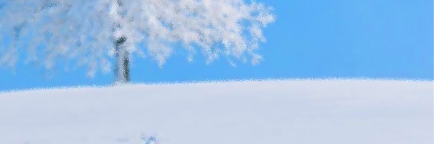 雪膚花容 ; 설부화용 banner