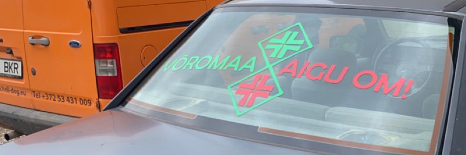 princ valgel hobusel banner