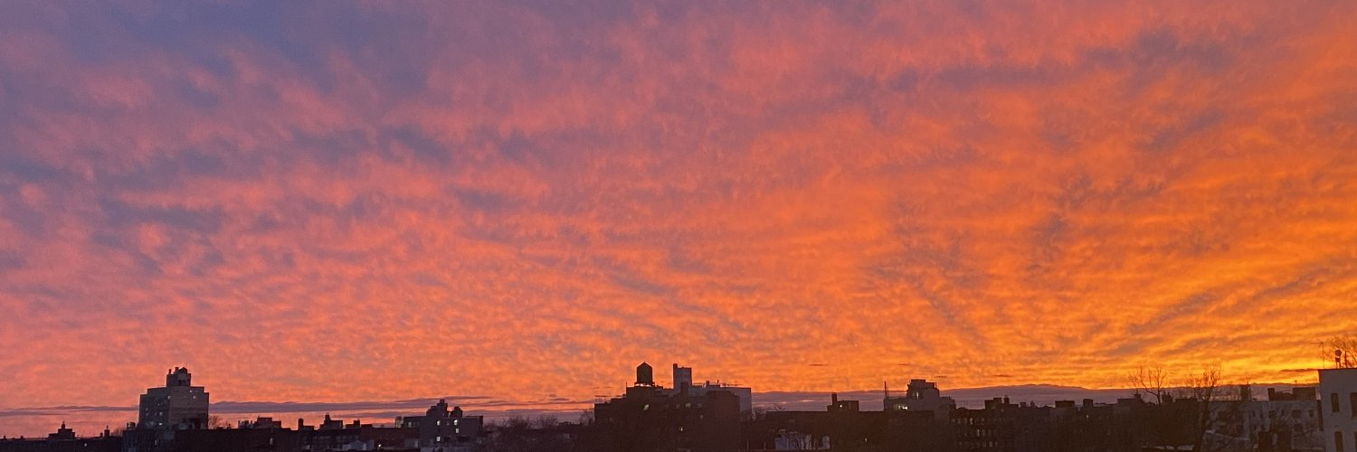 Peter Shapiro banner