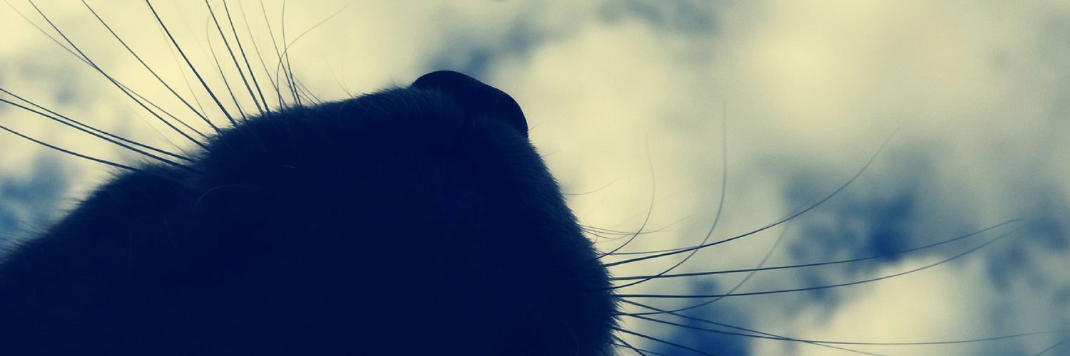 silvii1990's profile banner image