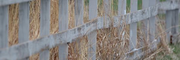 drjlstewart Profile Banner