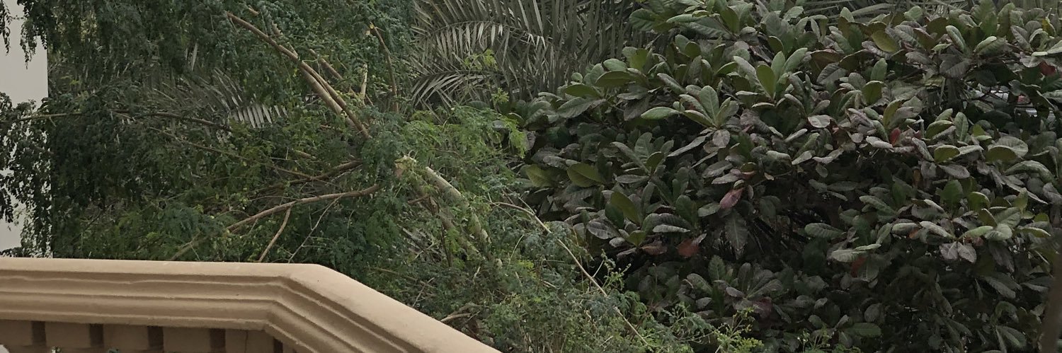 Malak leeomes banner