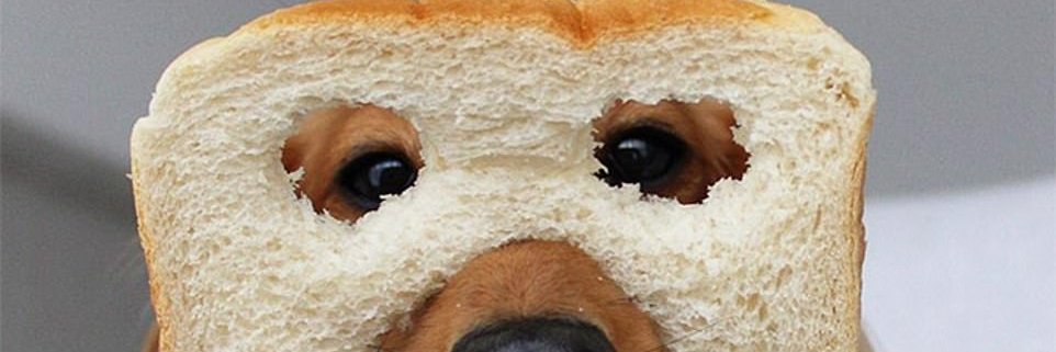 In-bread banner