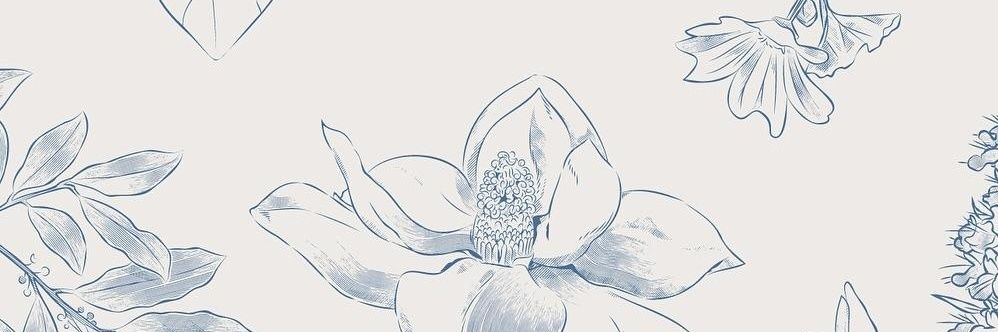 ʟᴇᴍᴏɴʏ ☁︎ banner