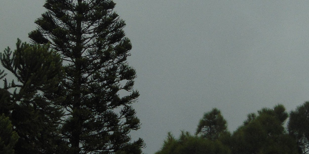 alnlms's profile banner image