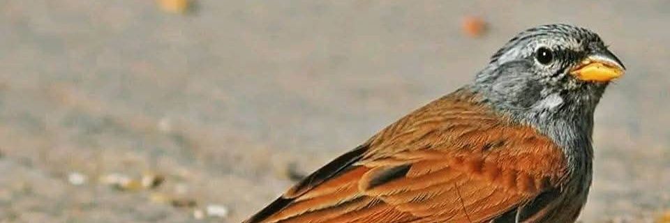 sully2908651's profile banner image