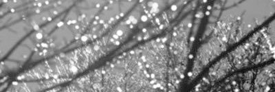 69ftIwt's profile banner image