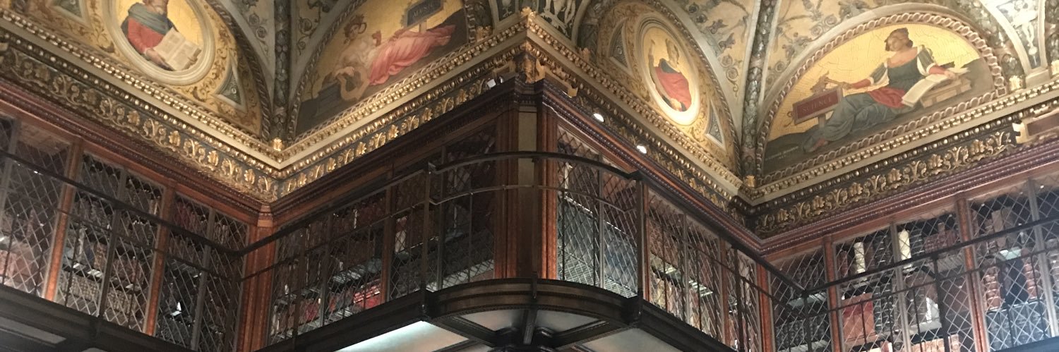 Megan Ilnitzki banner