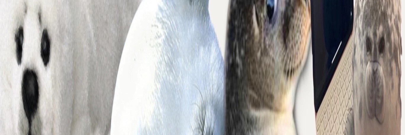 worstleo's profile banner image