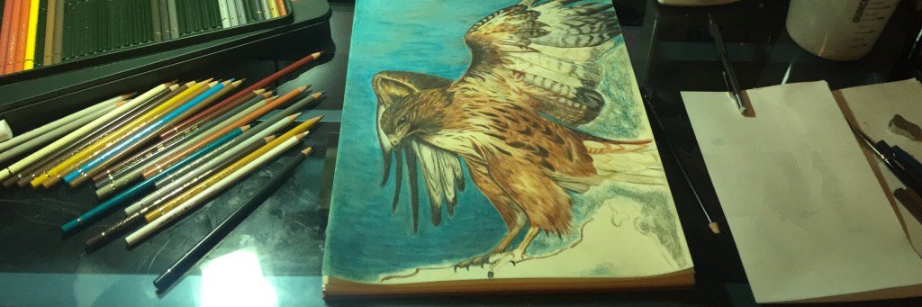 Jenn_Finch's profile banner image