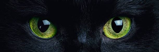 tofxnmi's profile banner image