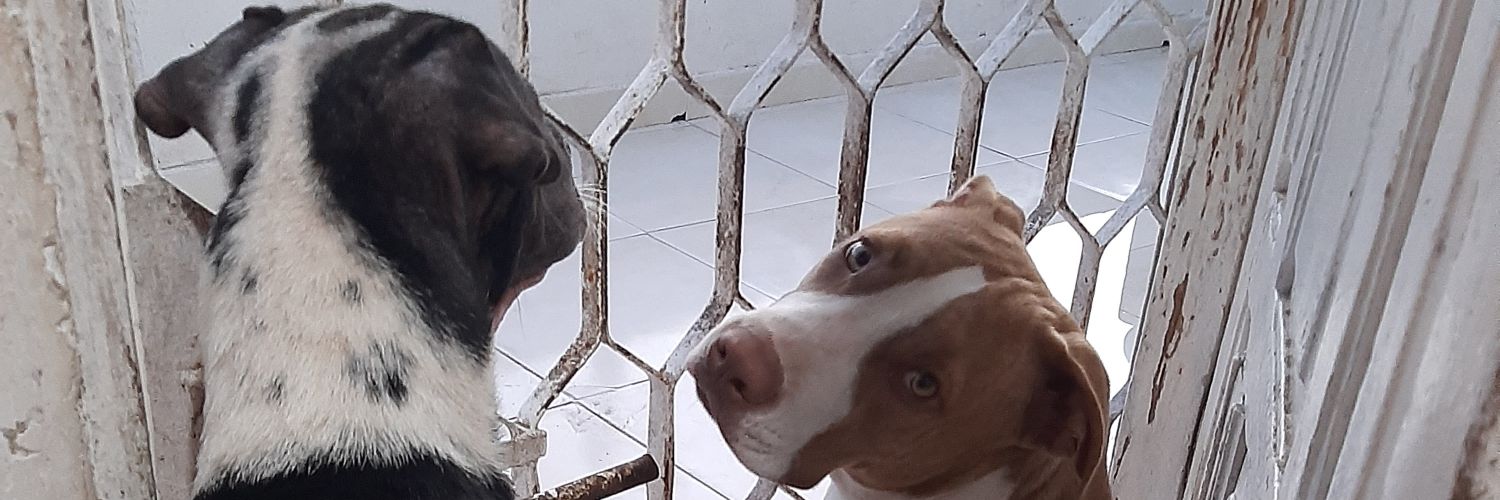 DaneNietoP's profile banner image