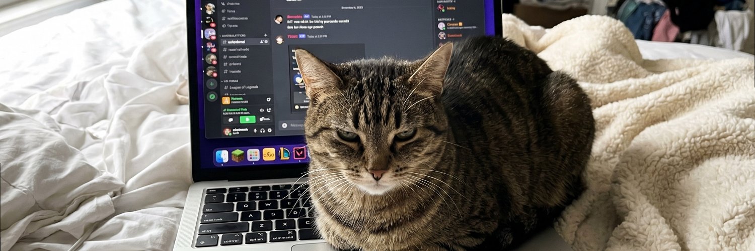 sofdusk39's profile banner image