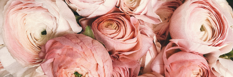 _Yeisi_'s profile banner image
