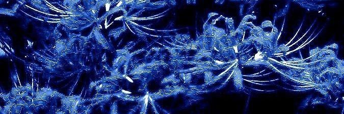 rmsweb banner