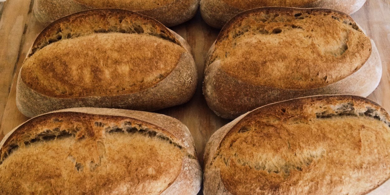 Crustandcrumbks's profile banner image