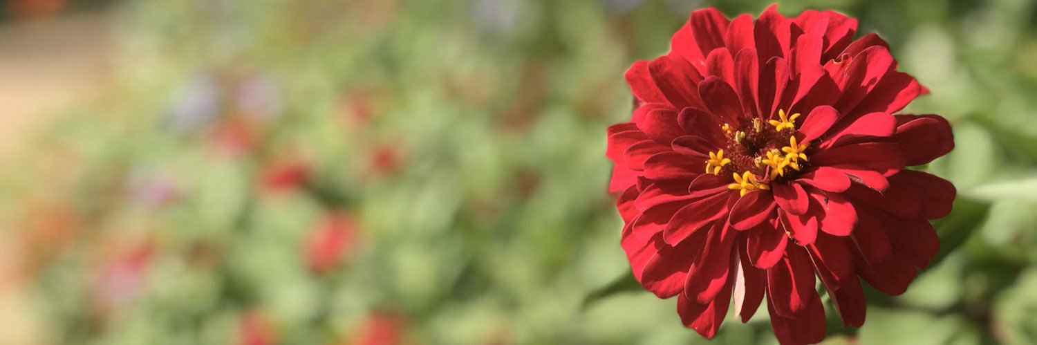 LostAlien88's profile banner image