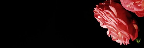 UltraMarlin Profile Banner