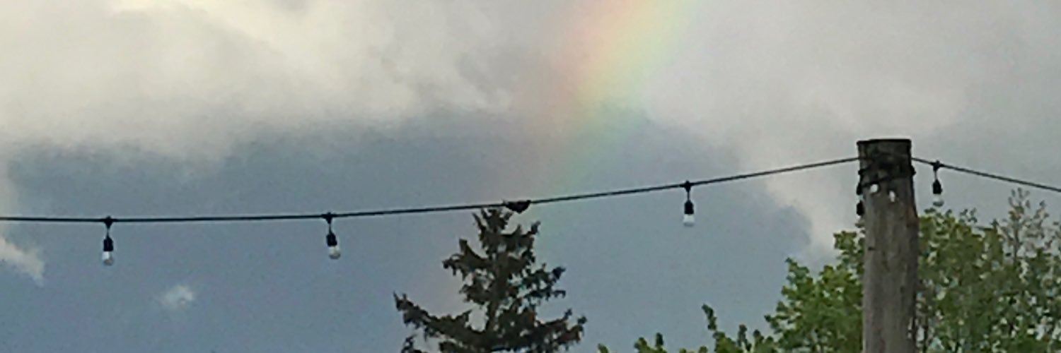RealKimHauser's profile banner image