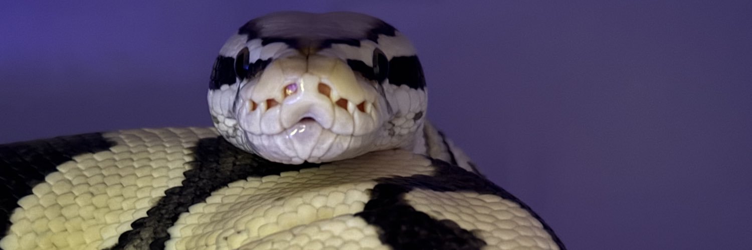 T.O.P.Reptiles banner