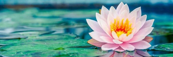 Nilgunay1's profile banner image