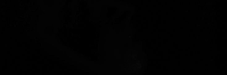 blaire banner