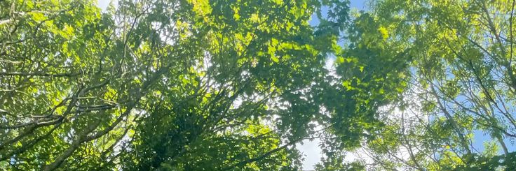 💚 banner