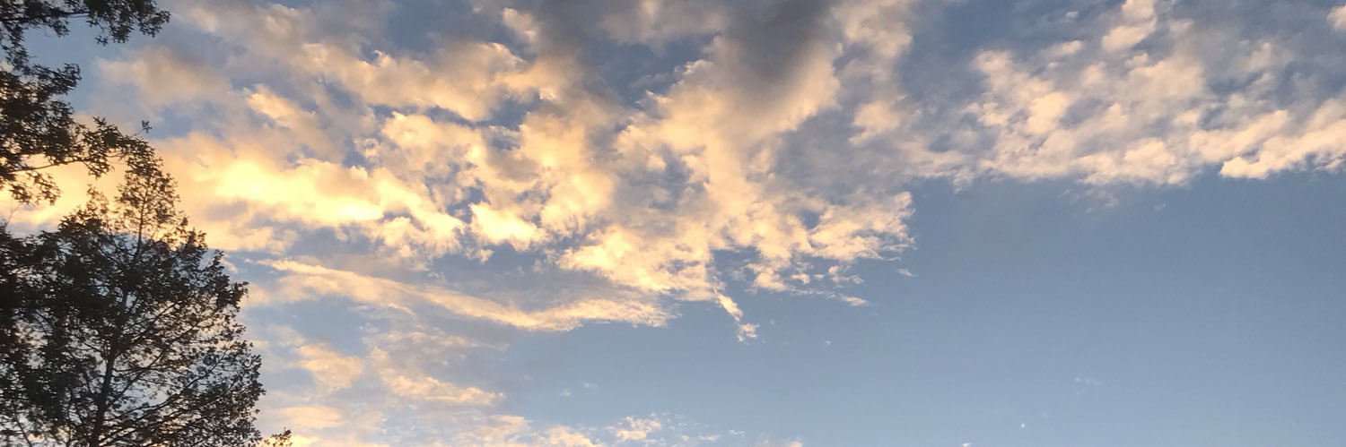 Rishkardo's profile banner image