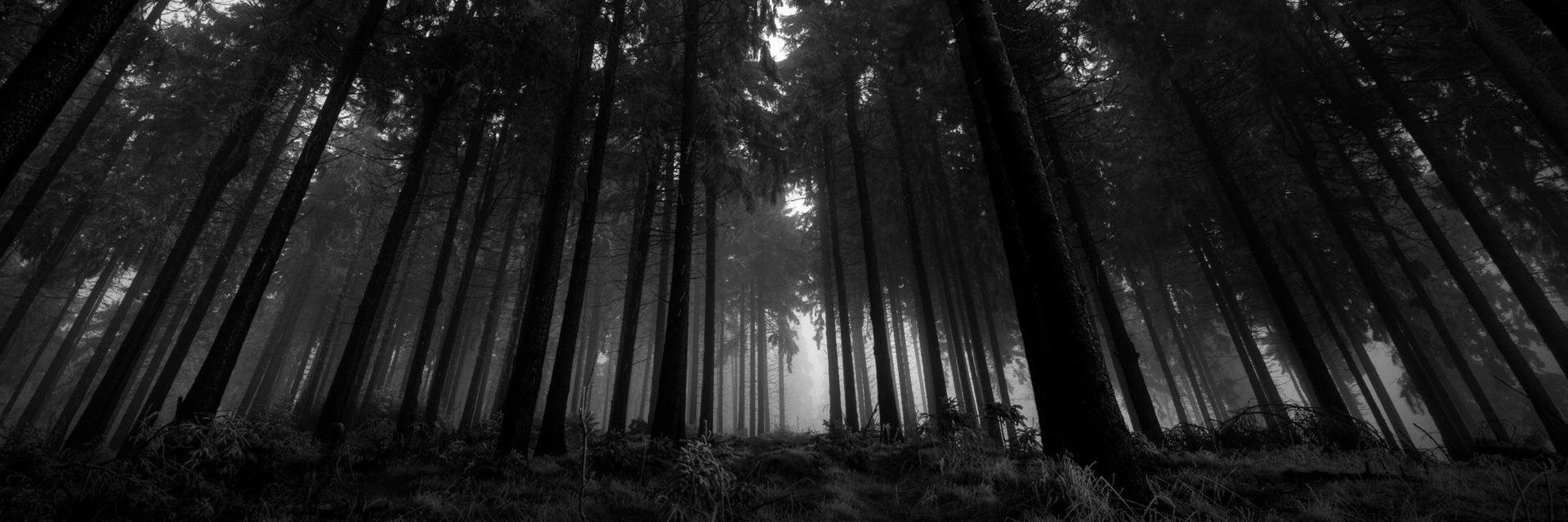 BDFantasmas's profile banner image