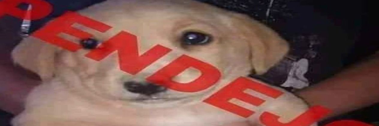 TOP1FRAGGER's profile banner image