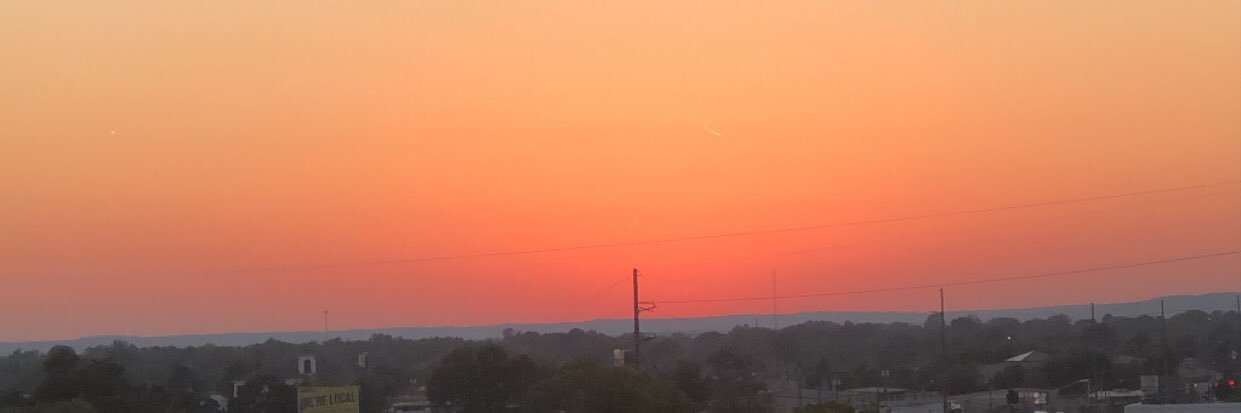 ElleGreenlee's profile banner image