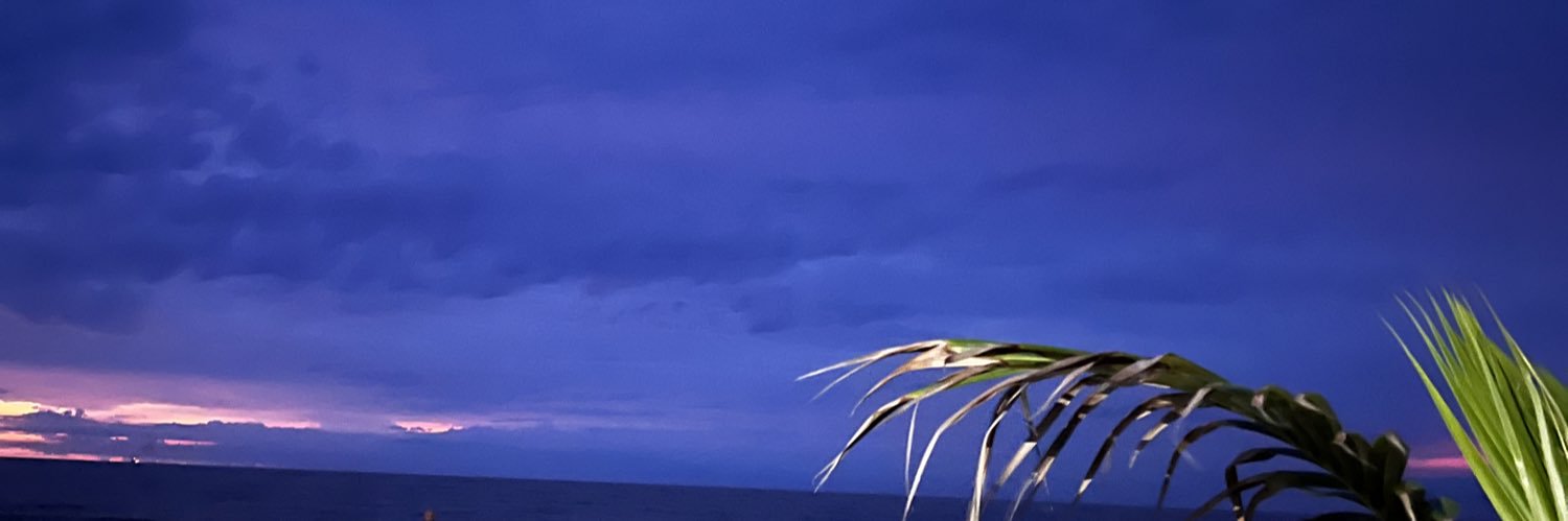 Veronica_Rodo's profile banner image