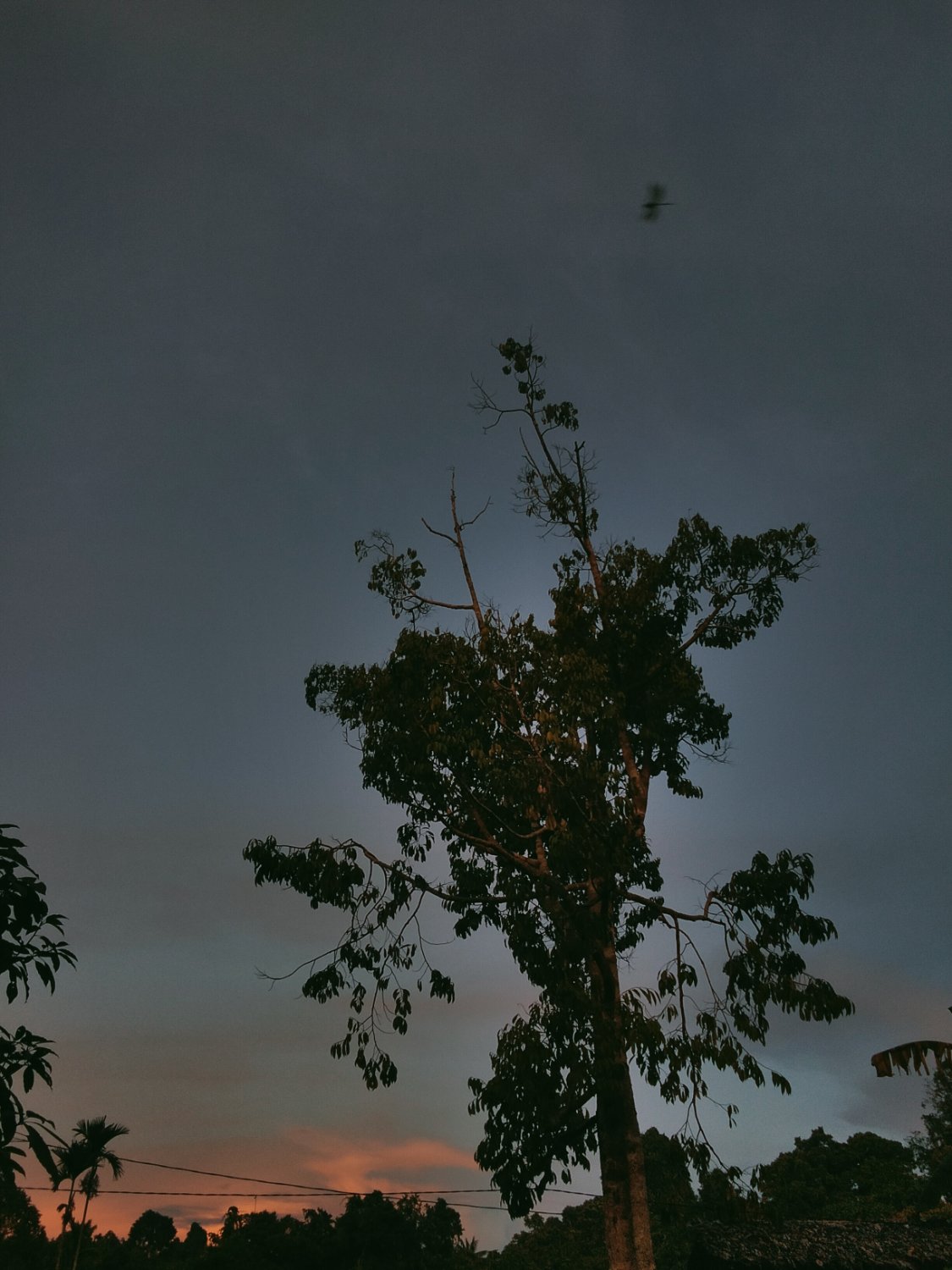 abumelekk's profile banner image