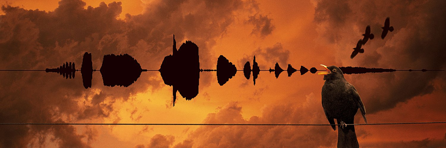 profundocarmesi's profile banner image