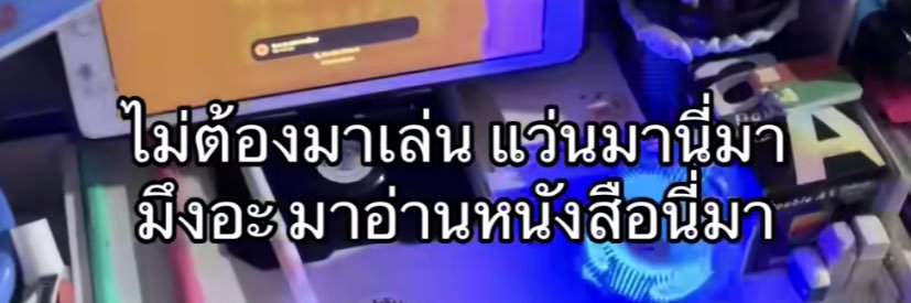 야옹 banner