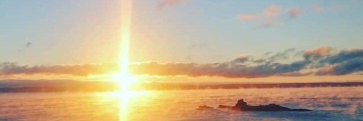 WillyWallace77's profile banner image