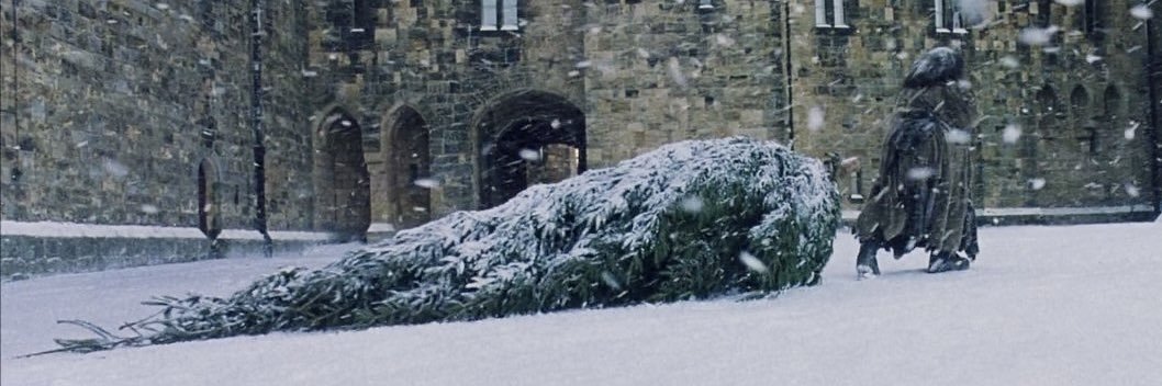 derinuo's profile banner image