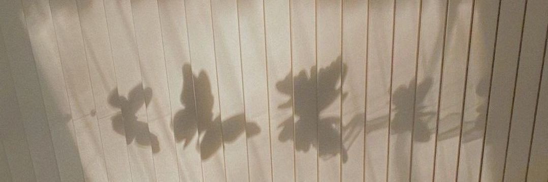 𝑫𝒐𝒉𝒐𝒐𝒏 rest banner