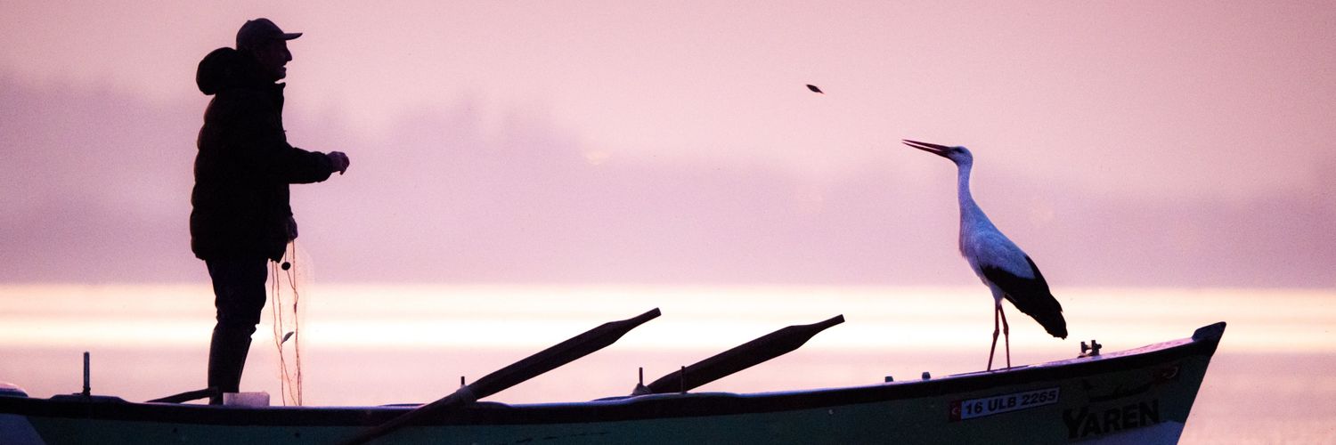 onurtezoglu's profile banner image