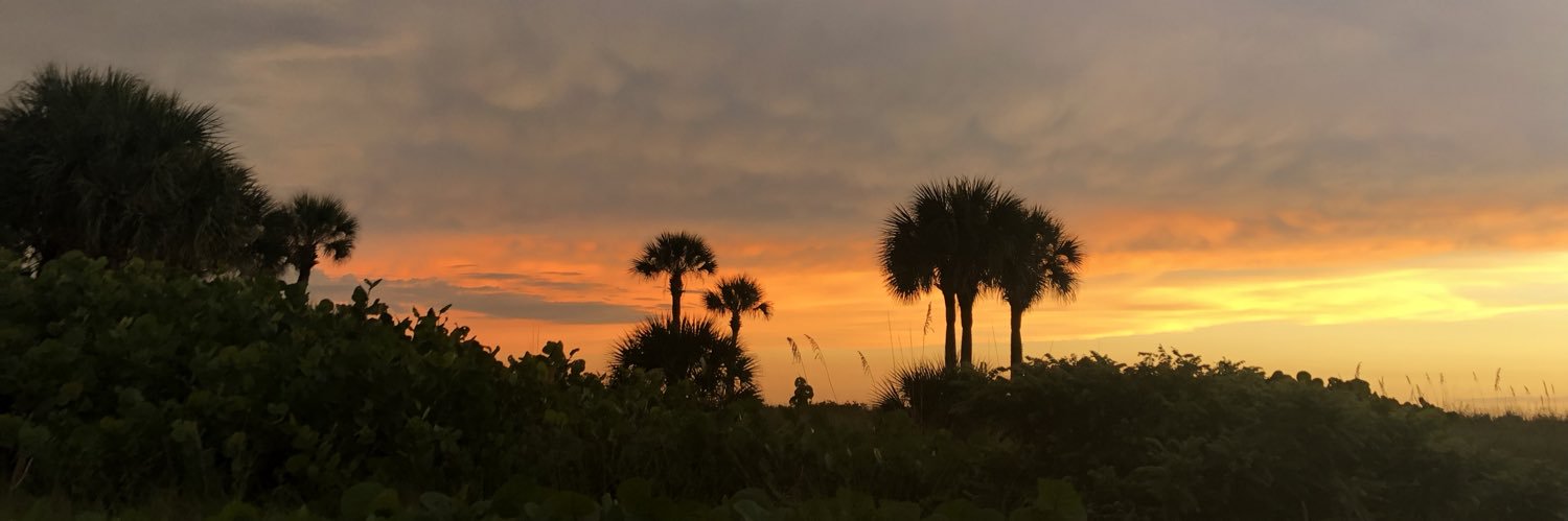 karinaaachavez's profile banner image