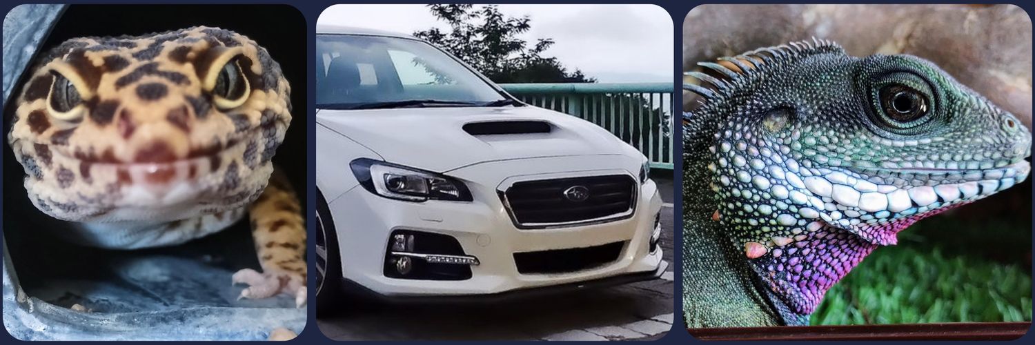 10gurt(とーぐると) banner