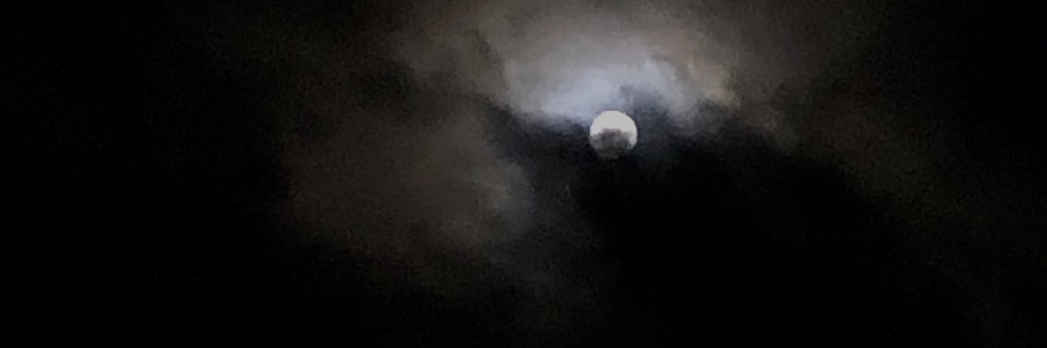 Amberr_als's profile banner image