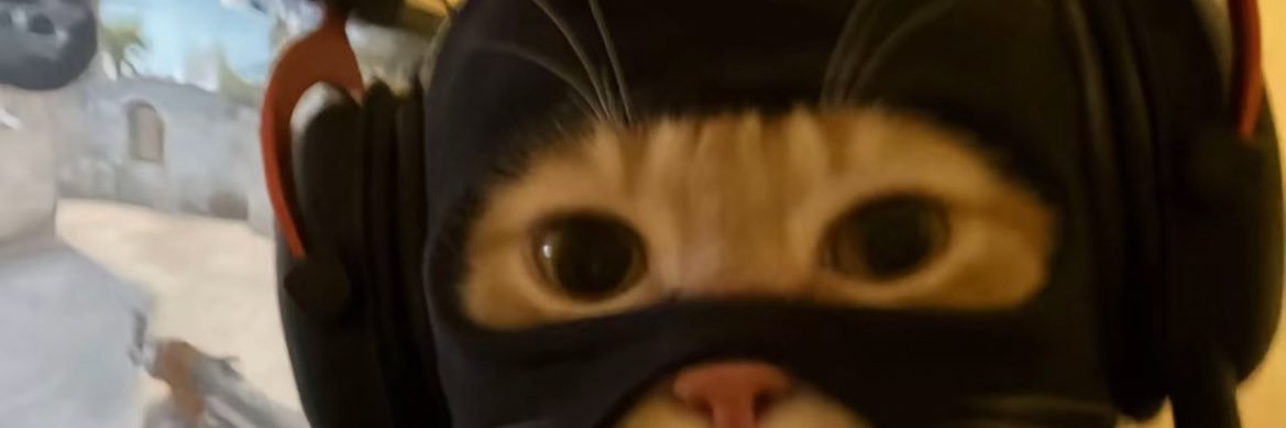 MemeTrader247's profile banner image