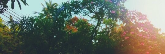 rgnbrndjs's profile banner image